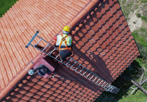 Best Roof Insulation Installation  in North Pekin, IL